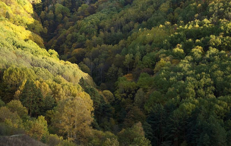 природа,горы,осень Буйство осениphoto preview