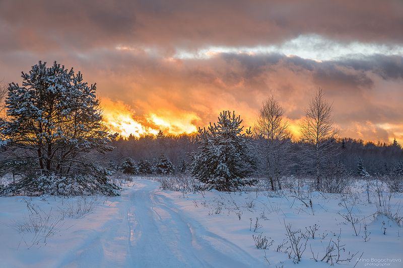 Пламя закатаphoto preview