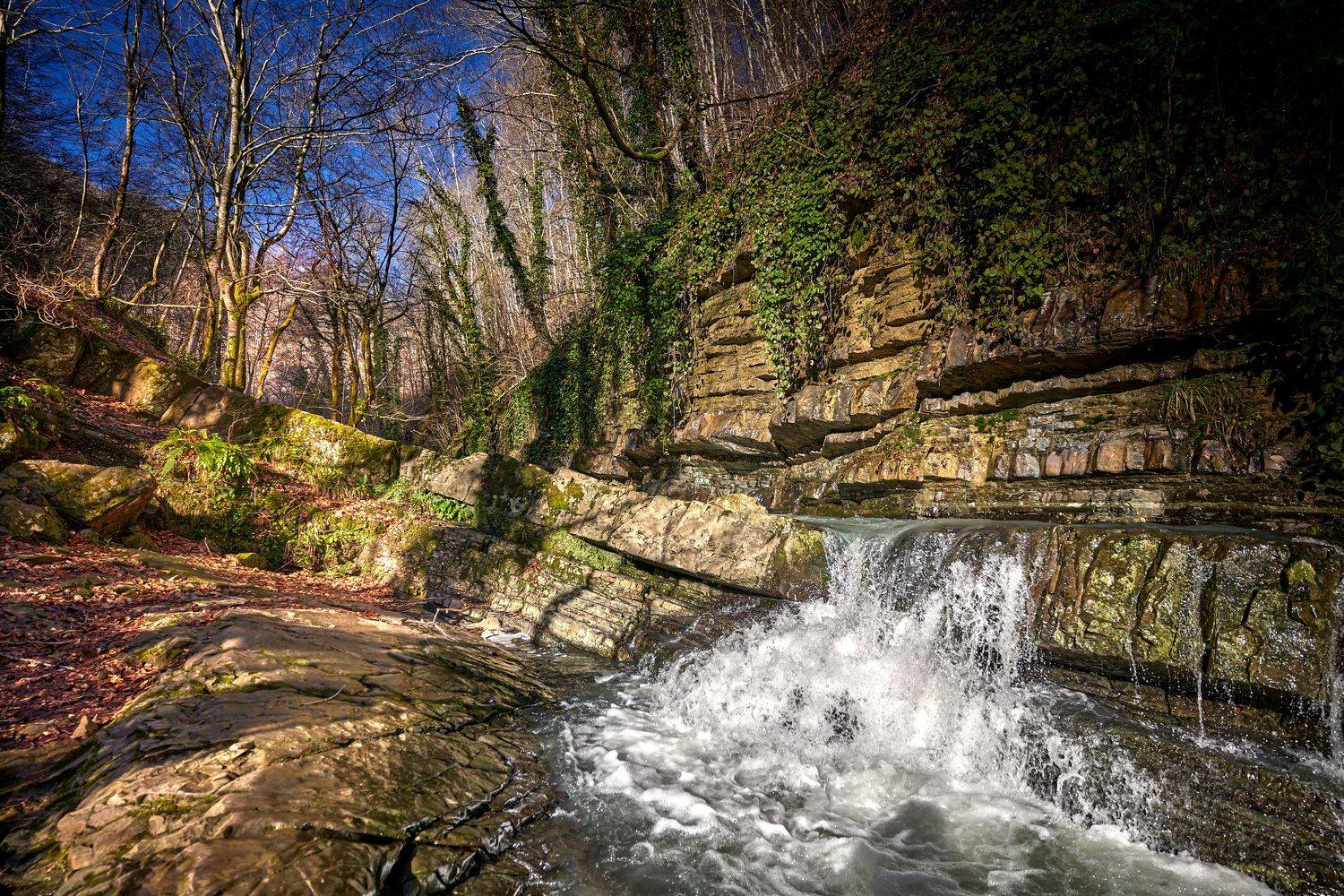В Кавказских джунглях. Автор: Леденёв Сергей водопад, кавказ, река, лес, Леденёв Сергей