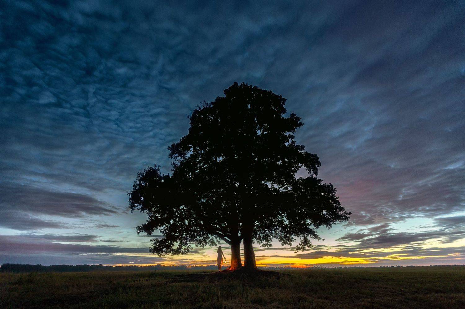 Автор: Юрий Столыпин , Юрий Столыпин