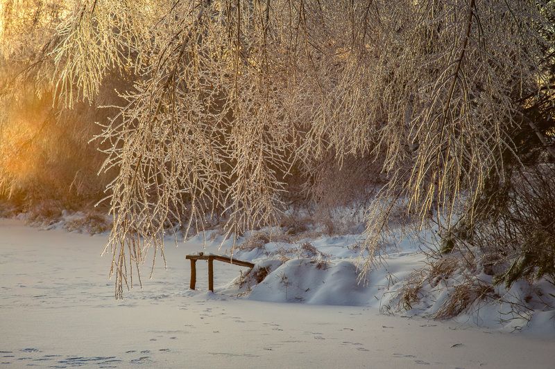 утро мороз лед рассвет серково наледь В ледяном плену фото превью