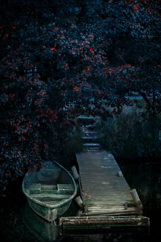 Silencephoto preview