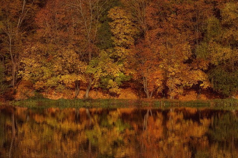 парк вода Богородицк паркphoto preview