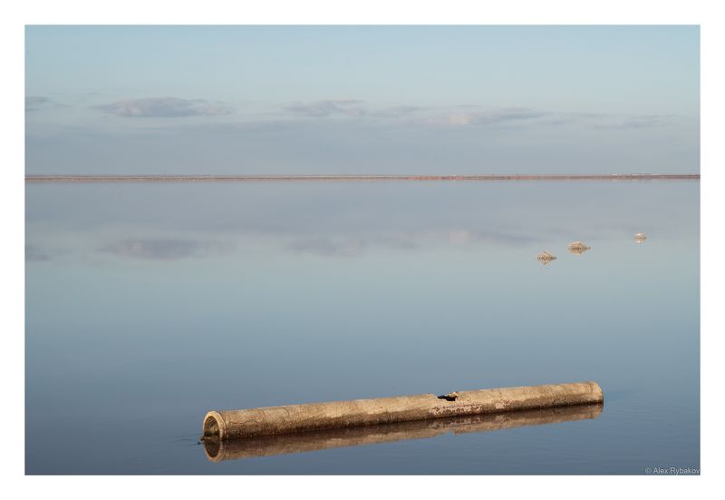 Дудочка крысоловаphoto preview