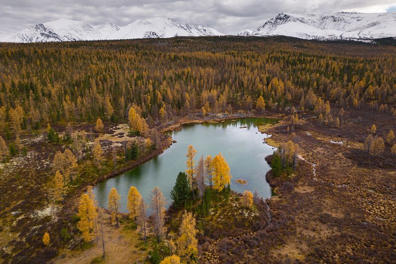 тува, республика тыва,  siberia, тайга, nerozya, russia, tuva, travel, exployer, russia Озера Тоджиphoto preview