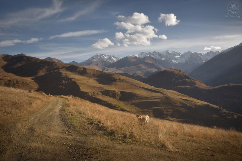 дигория, осетия Обычная картинаphoto preview