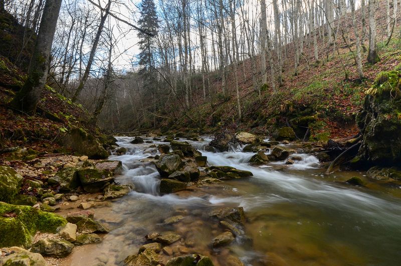 осень, река, мезмай, лес photo preview