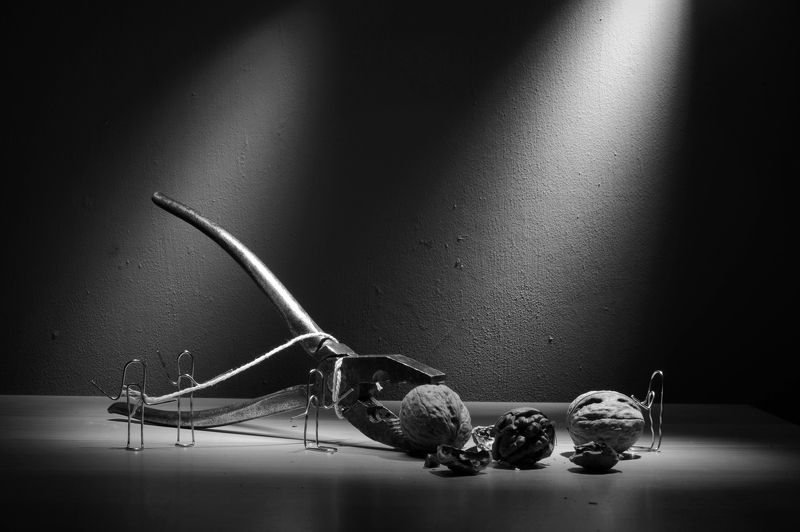 жизнь скреп За орехамиphoto preview