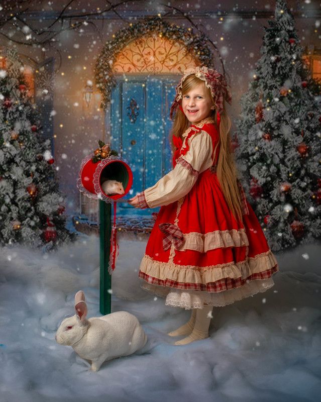 Christmas Countdown Beginsphoto preview