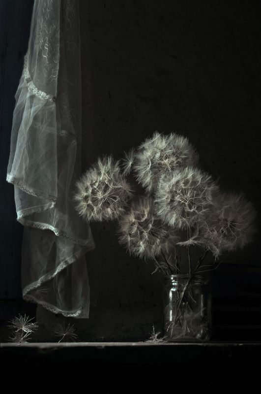 натюрморт, цветочный, чёрно-белое, настроение Вдали от суетыphoto preview