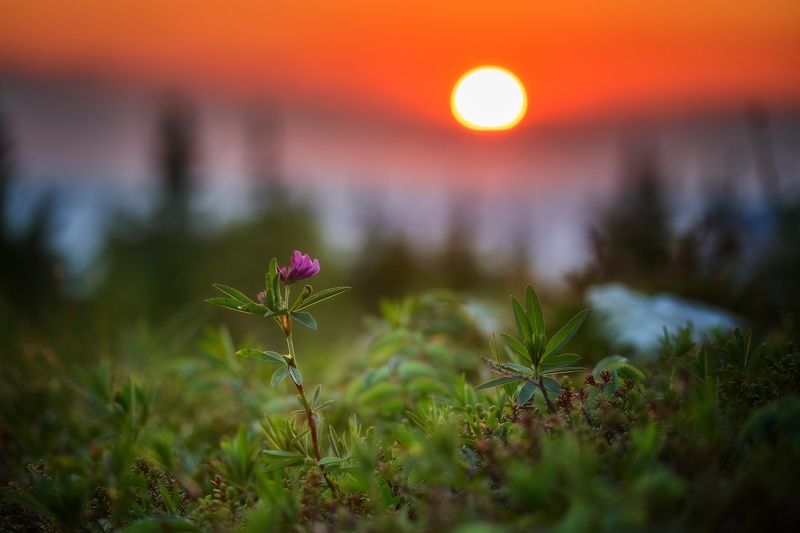 зюраткуль закат zuratkul sunset Закат На Хребте Зюраткуль фото превью
