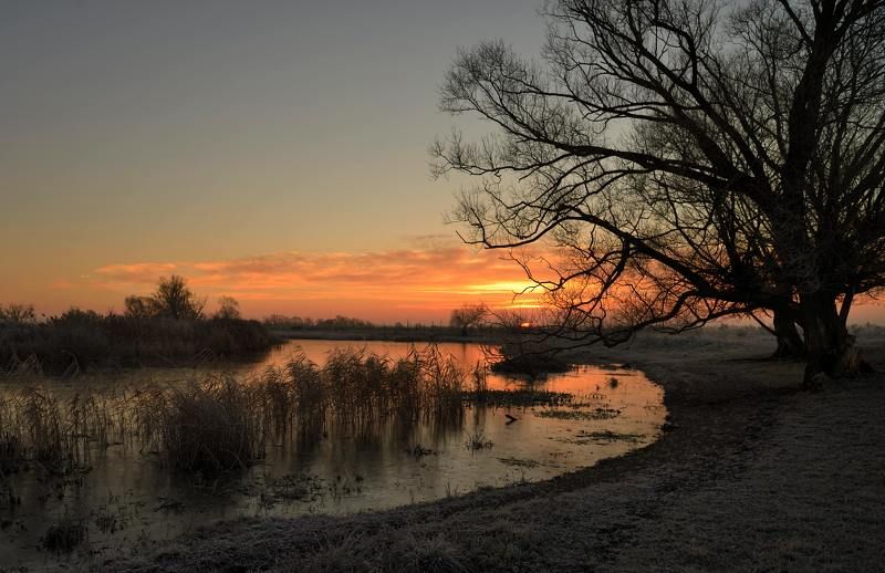 Первый ледок...photo preview