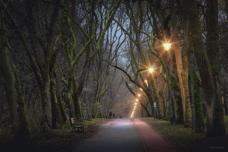 Вечер в паркеphoto preview