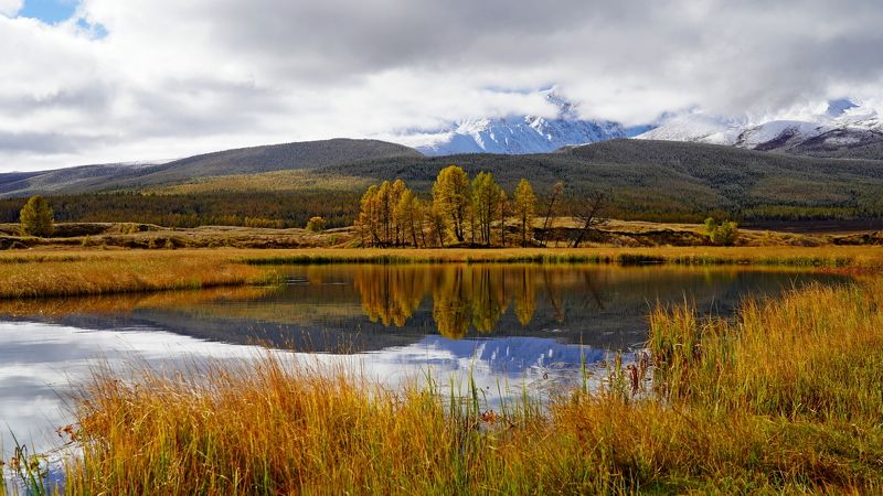 джангысколь, озеро, отражение, горы, облака, желтые лиственницы, золото, осень, ёштыкель, алтай, россия Джангысколь почти классическийphoto preview