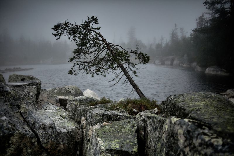 карелия, туман, природа, горы, озеро, север В сердце Ветер-Горыphoto preview