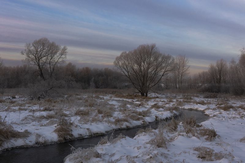Яуза, Тайнинское, рассвет Яуза в Тайнинском на рассвете фото превью