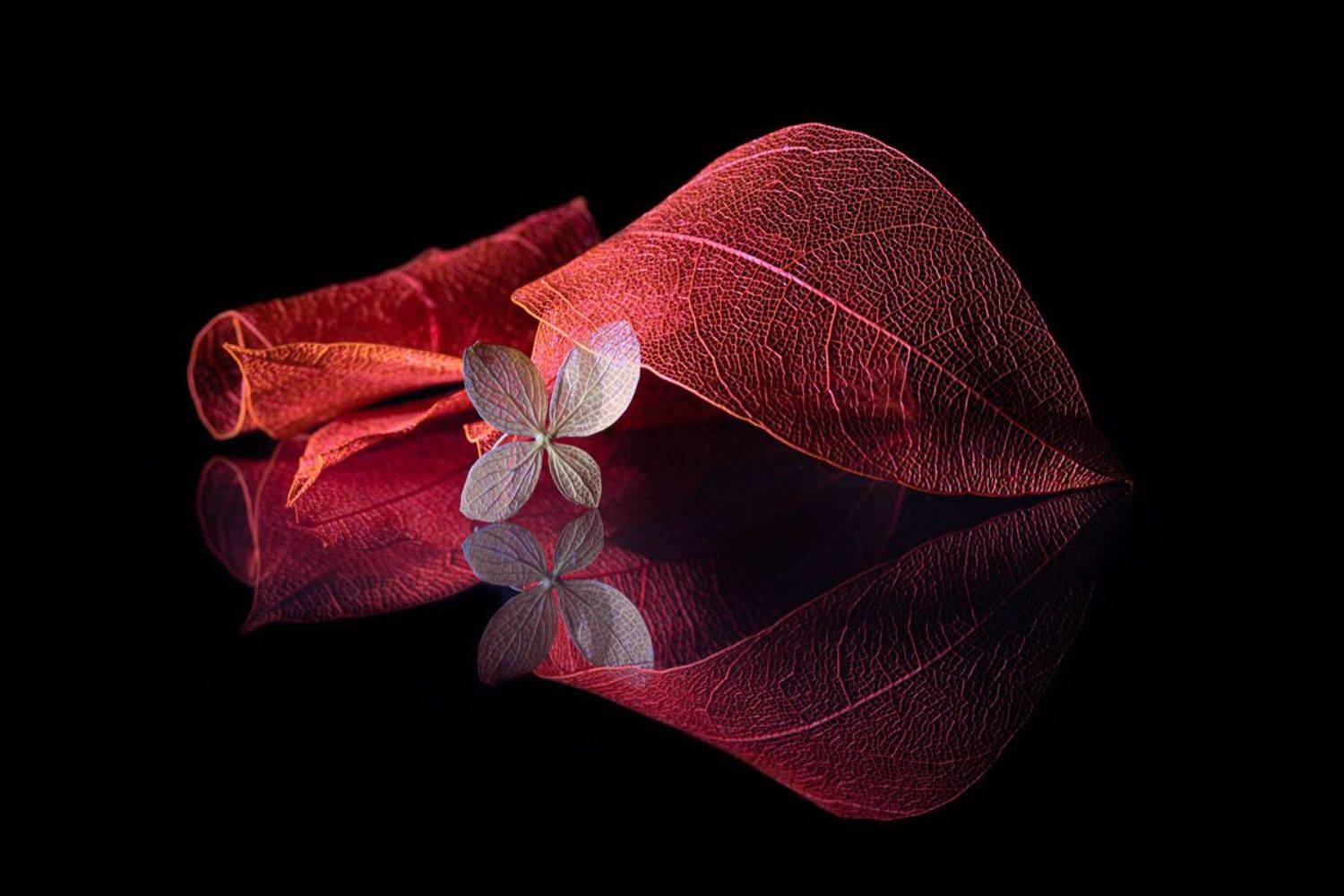 Unpretentious. Автор: Игорь Копцев , Игорь Копцев