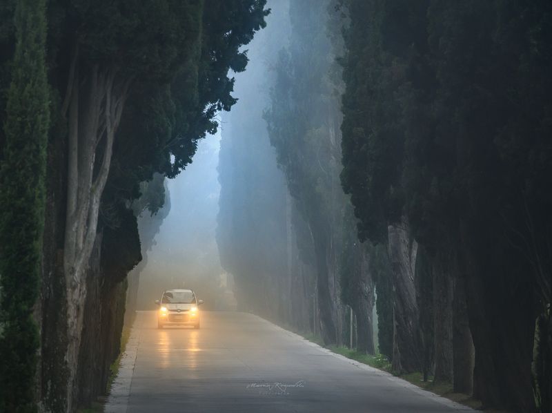 Aleja cyprysów w Montepulcianophoto preview