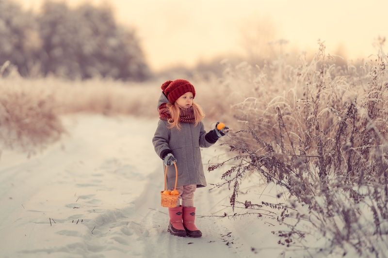 Зимаphoto preview