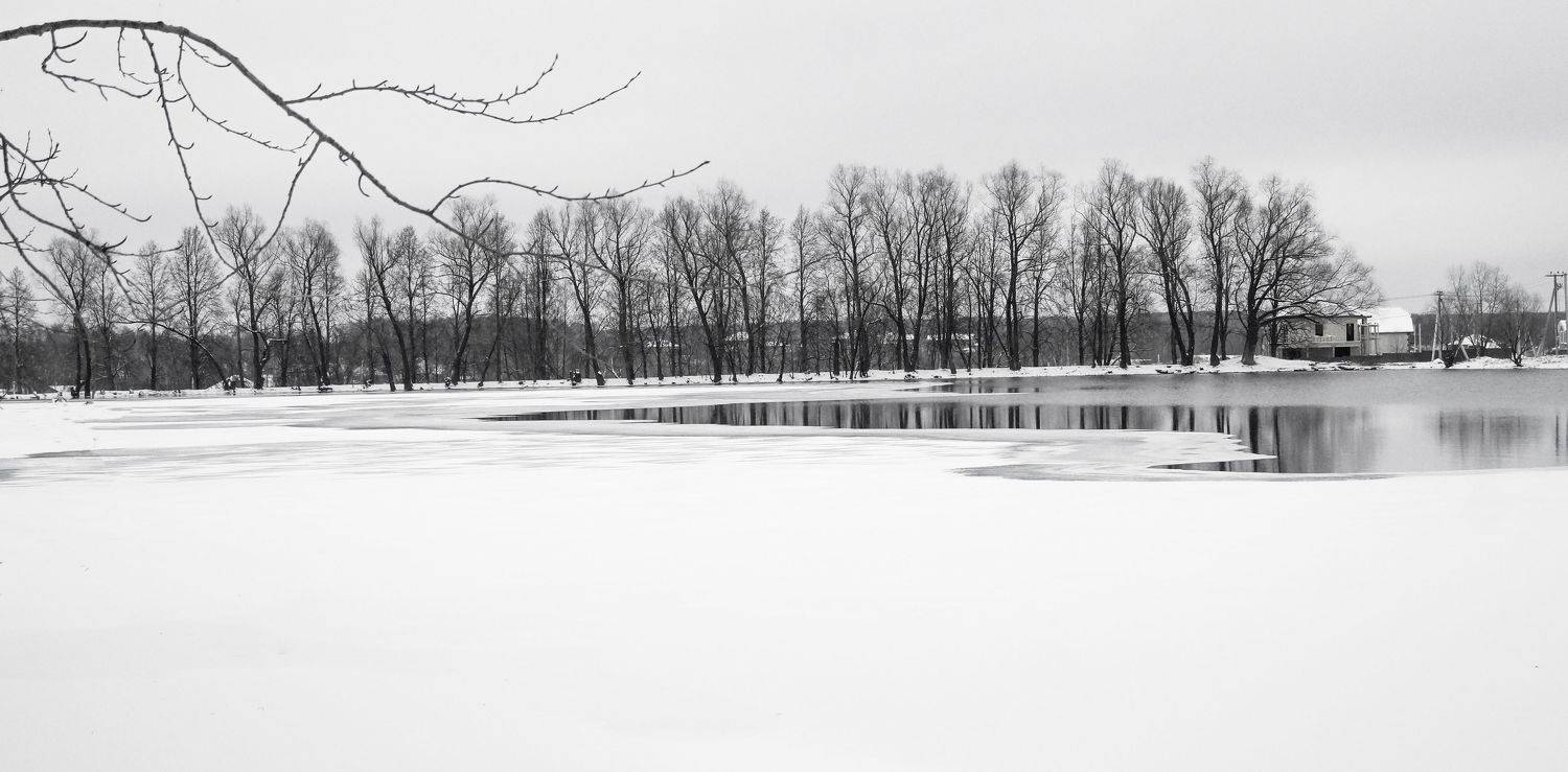 , Светлана Сушкевич