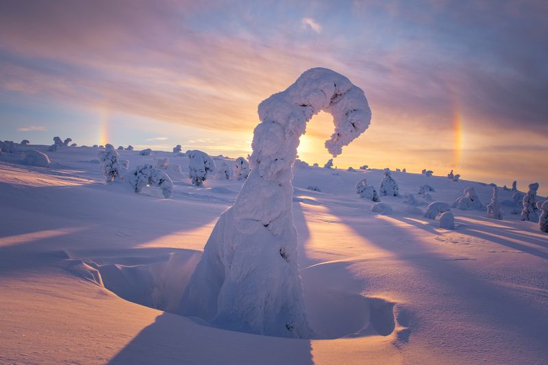 заполярье, кольский, зимний пейзаж, солнце, гало. Заполярная сказка.photo preview