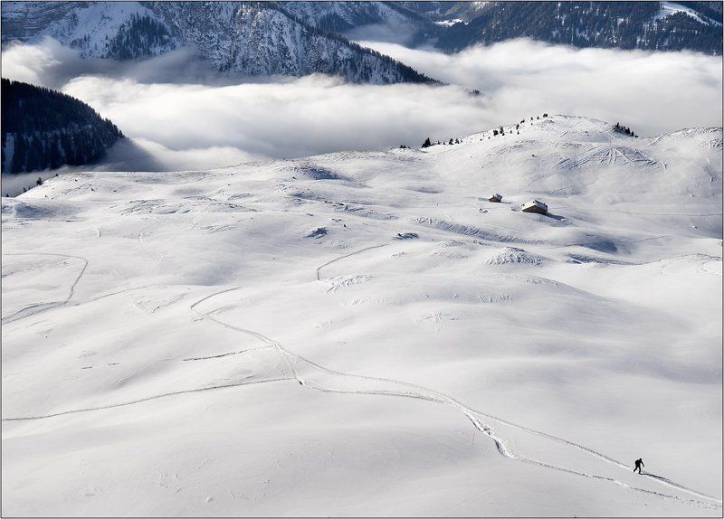 Алитетphoto preview