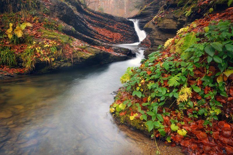 Водопады, Карпаты, Лумшоры, Осень Осеннее журчание фото превью