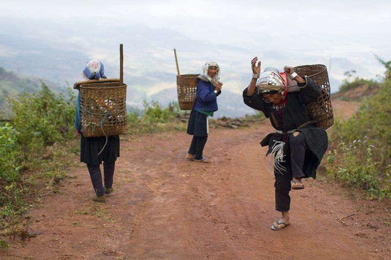 Акха, Жанр, Жанровый портрет, Мьянма, Падаунг, Племена, Репортаж, Энг Мьянма, племена фото превью