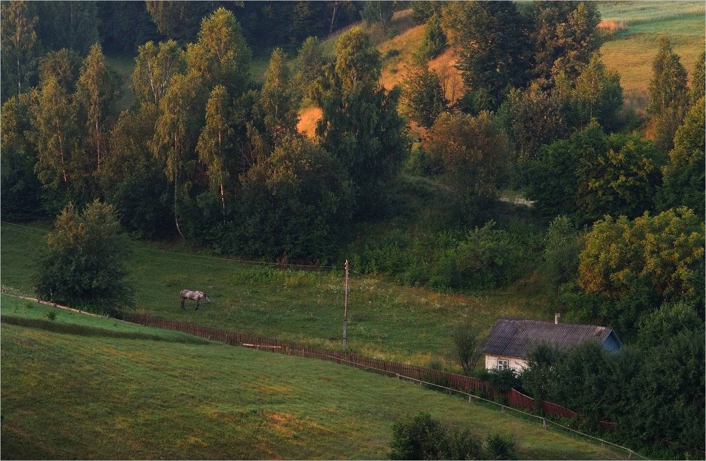 утро полесского хуторка.... Автор: Николай Шахманцир , Николай Шахманцир