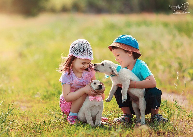 дети, детская фотосессия, мальчик и девочка, фотограф колчина ольга, фотосессия с щенками Первая любовьphoto preview