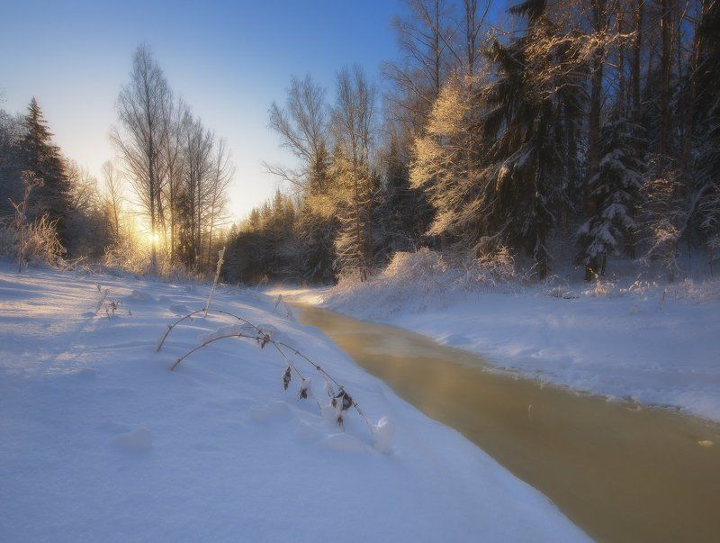 Невский лесопарк.photo preview