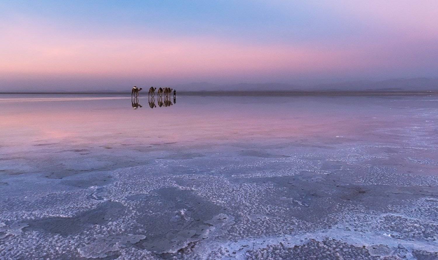 , Виктория Роготнева