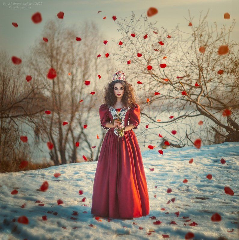 Девушка, Лепестки, Роза, Снег ...photo preview