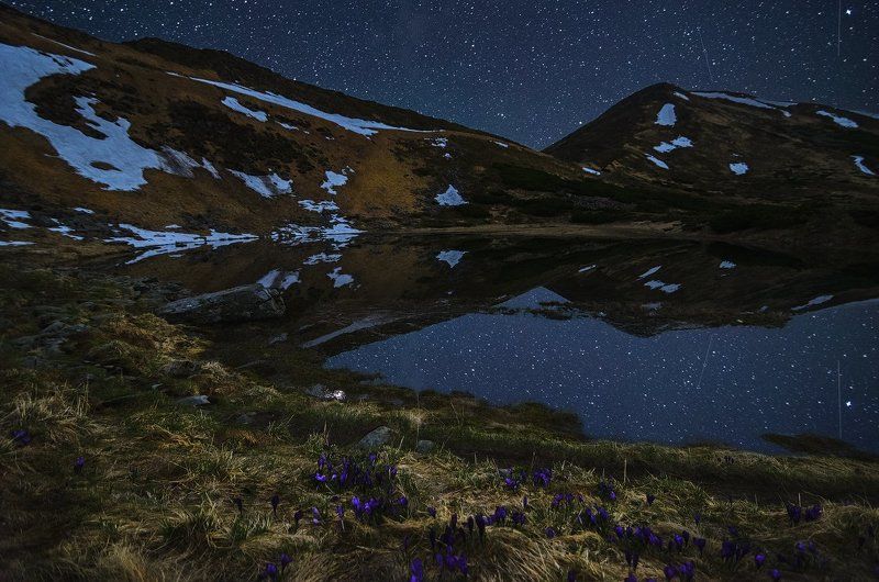 горы, звезды, карпаты, крокусы, небо, ночь, озеро, несамовитое Подарок места Силыphoto preview
