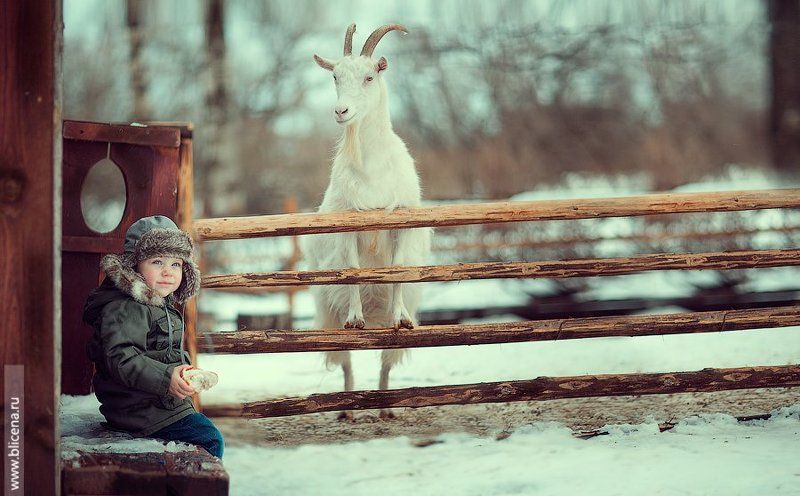 Блицена Наталья , фотографии детей с животными,  Встречаем весну.photo preview
