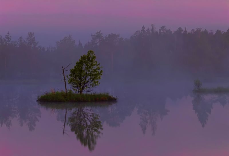 Болото, Карелия, Лето, Пейзаж, Природа, Путешествие, Рассвет, Север, Туман, Туризм ...и тишина!photo preview