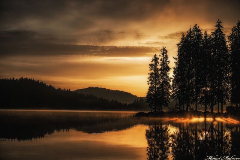 Forest, Gold, Lake, Landscape, Mountain, Sunrise Gold morningphoto preview