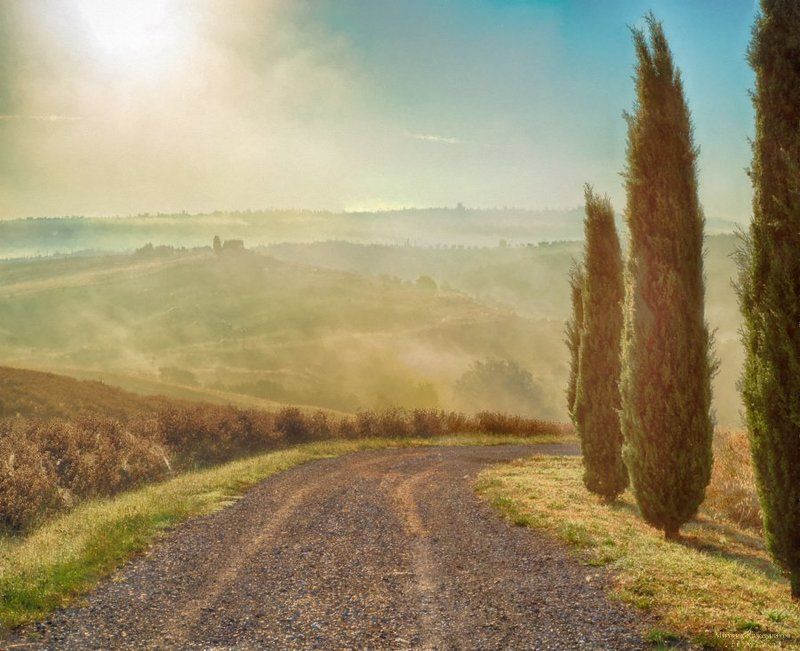 знойно-утренняяphoto preview