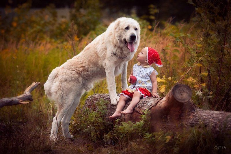 Про Нику фото превью