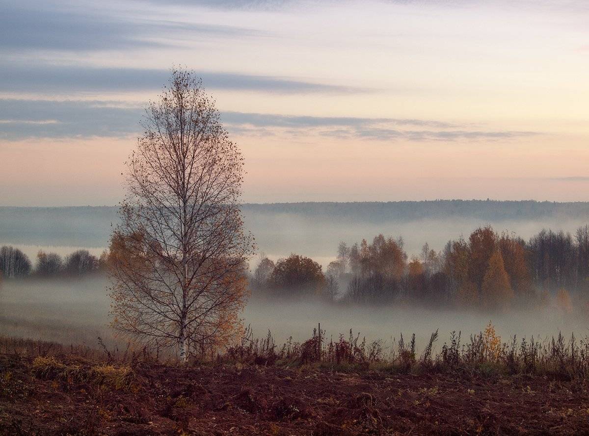 , Владимир Перепечаев