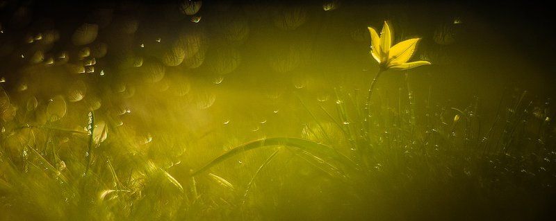 Гелиос 40-2 ...в ожидании...photo preview