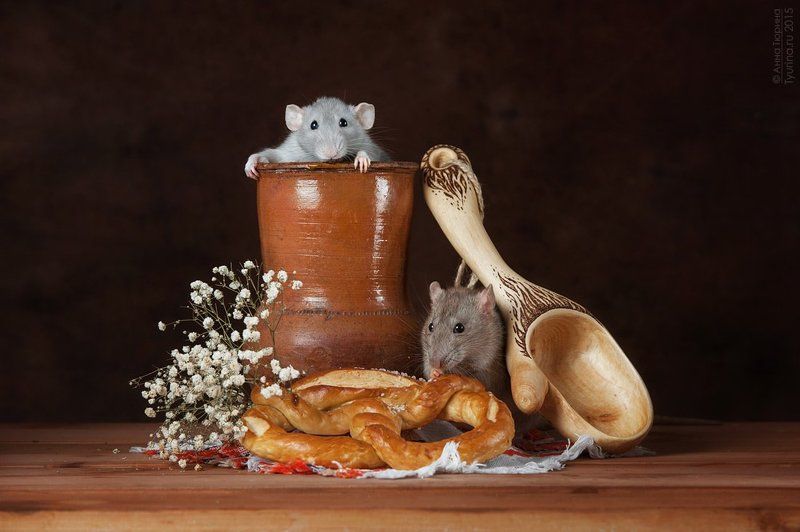 Сельские жителиphoto preview