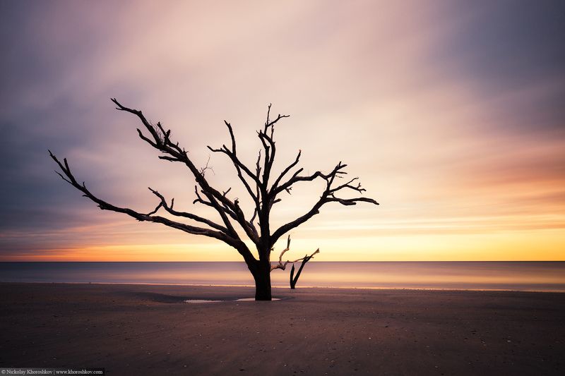 #BotanyBay, #landscape, #SouthCarolina, #USA, #пейзаж Сумеркиphoto preview
