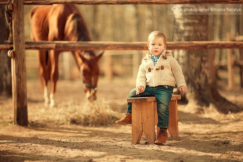 Ранчо.photo preview