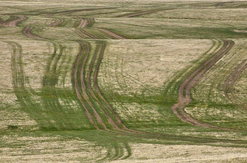 Дорогиphoto preview