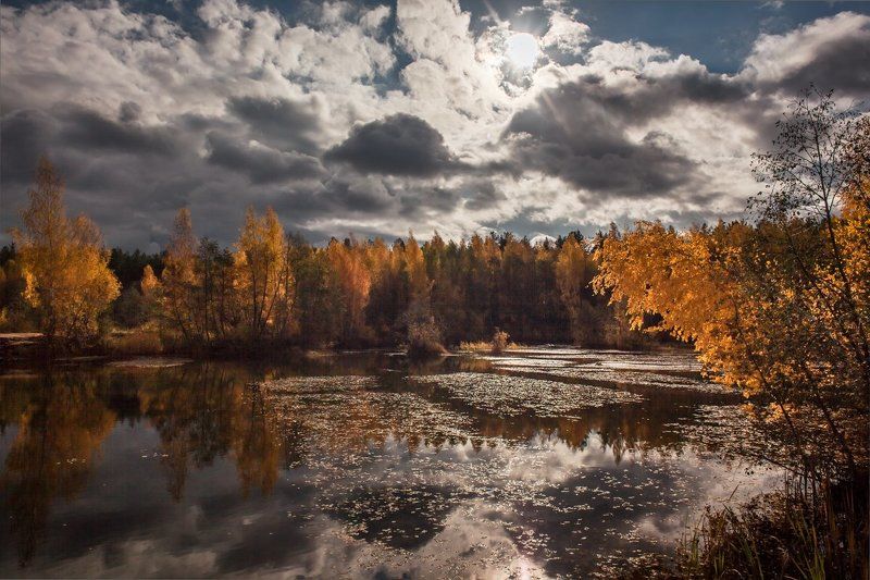 Уж небо осенью дышало... фото превью