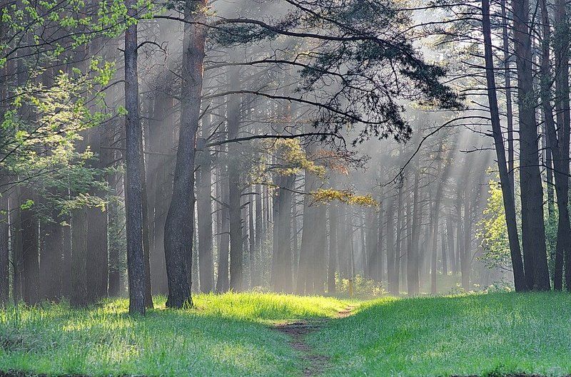 Светphoto preview