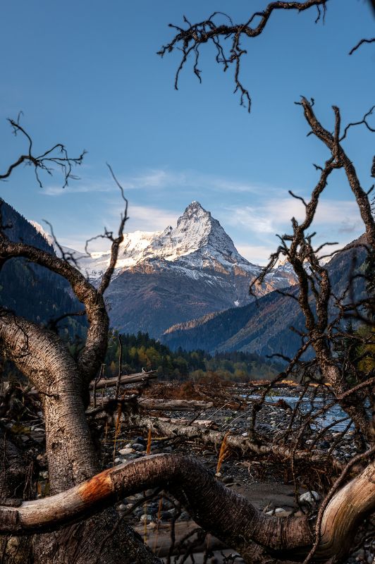 домбай, белалакая, кчр, карачаево-черкесия, теберда, тебердинский заповедник, кавказ Портрет Белалакой фото превью
