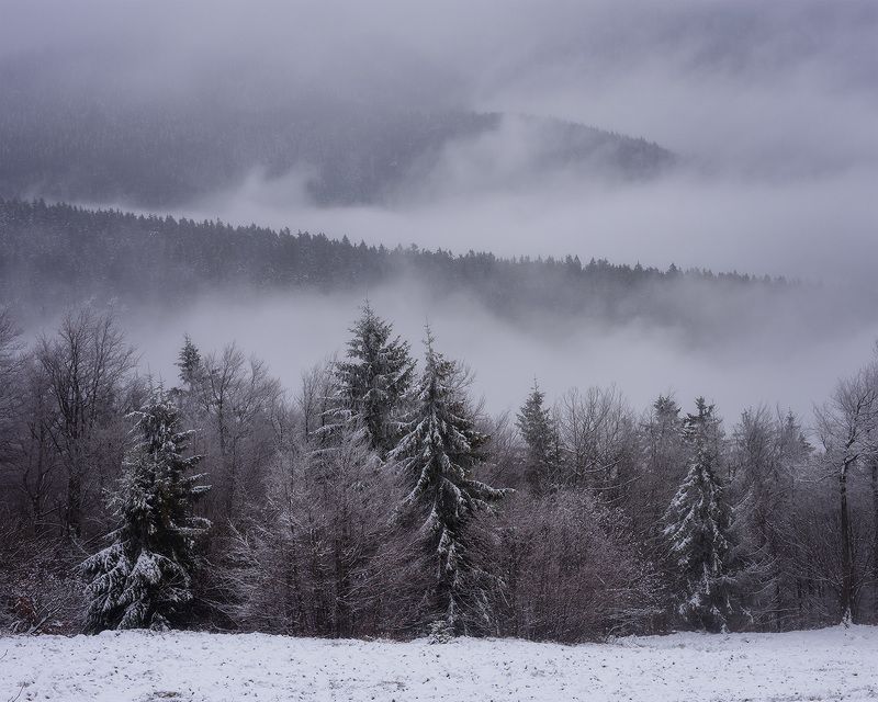 winter, snow, cold, snowing, ice, wintertime, forest, woods, trees, tree, hiking, wood, outdoors, cz, czechrepublic, europe, valassko, beskydy, sigma, nikon, art, white, landscape, blue, clouds, nature, christmas, beauty, scenery, bluehour, outside, xmas Бескидыphoto preview