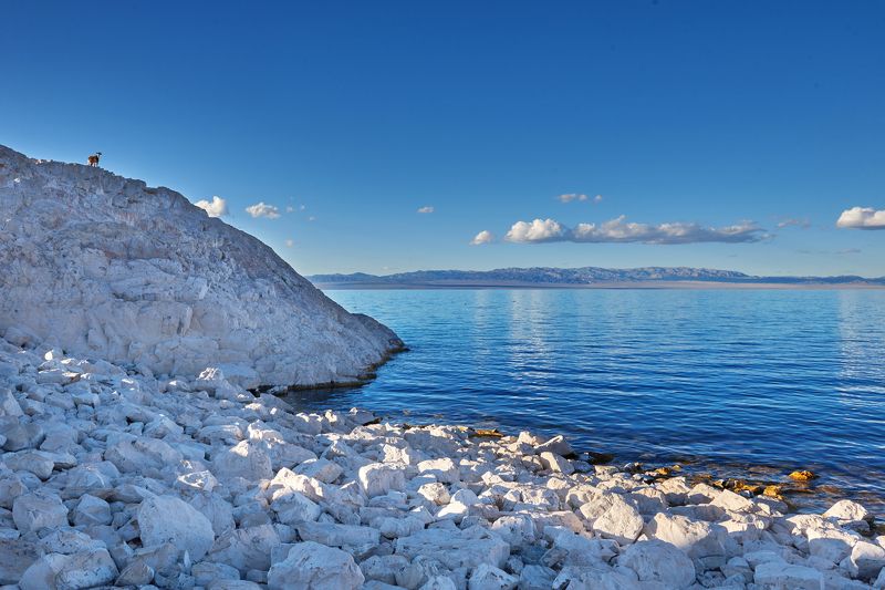 Уходящая натураphoto preview